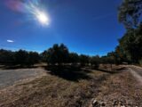 Terrain à bâtir à Puget-sur-Argens (83480) 2299529-11157annonce420251009ibfSH.jpeg Maisons France Confort