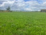 Terrain à bâtir à Caubeyres (47160) 2299908-11292annonce120251009mmSDq.jpeg Maisons France Confort