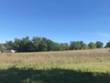 Terrain à bâtir à Puygouzon (81990) 2299145-2684annonce120251008cwegF.jpeg Maisons France Confort