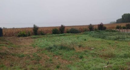 Weckolsheim Maison neuve - 2298646-5767annonce6202510088NLGd.jpeg Maisons France Confort