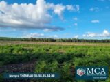 Terrain à bâtir à Laluque (40465) 2301262-5828annonce120251010dnmb3.jpeg Maisons France Confort