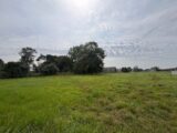 Maison à construire à Bazenville (14480) 2301383-11660annonce220251010vPcyH.jpeg Maisons France Confort