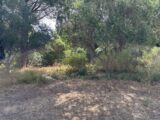 Maison à construire à Le Pradet (83220) 2301511-4590annonce220251010HnKau.jpeg Maisons France Confort