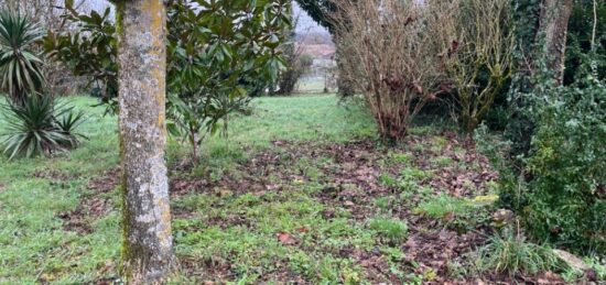 Terrain à bâtir à Ayguemorte-les-Graves, Nouvelle-Aquitaine