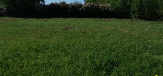 Maison neuve à , Dordogne