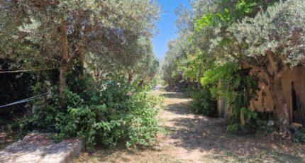 La Penne-sur-Huveaune Terrain à bâtir - 2259926-7080annonce220250904Ie3Do.jpeg Maisons France Confort