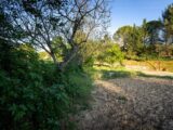 Terrain à bâtir à Saint-Hilaire (11250) 2265642-11456annonce320250909XmWTC.jpeg Maisons France Confort