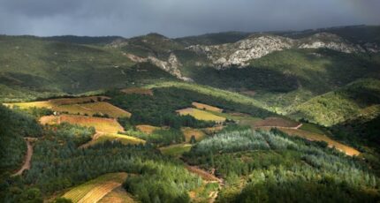 Citou Maison neuve - 2265504-11456annonce1202509096pfon.jpeg Maisons France Confort