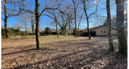 Magescq Terrain à bâtir - 2303016-10481annonce1202503307wJmg.jpeg Maisons France Confort