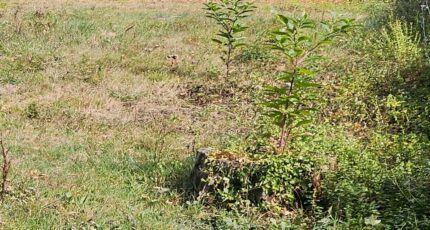 Toulenne Maison neuve - 2256545-11284annonce1202509013HU7U.jpeg Maisons France Confort