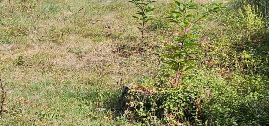 Terrain à bâtir à Toulenne, Nouvelle-Aquitaine