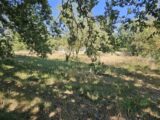 Terrain à bâtir à Roquebrune-sur-Argens (83520) 2303407-5163annonce320251013t4zq8.jpeg Maisons France Confort