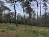 Terrain à bâtir à Suze-la-Rousse (26790) 2303368-812annonce120250618BIJla.jpeg Maisons France Confort