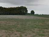 Maison à construire à Sains-en-Gohelle (62114) 2303528-11655annonce220251013cnp4e.jpeg Maisons France Confort