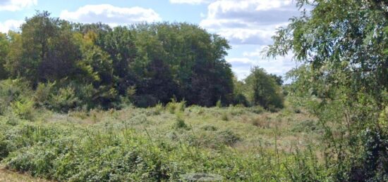 Terrain à bâtir à Libourne, Nouvelle-Aquitaine