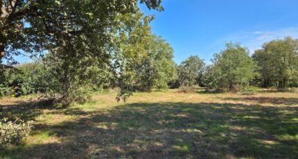 Seysses Maison neuve - 2301813-10326annonce1202510104eG82.jpeg Maisons France Confort