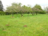 Terrain à bâtir à Franconville (95130) 2304402-10570annonce12025101359fGX.jpeg Maisons France Confort