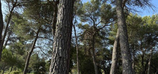 Terrain à bâtir à Guzargues, Occitanie