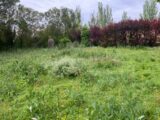 Maison à construire à Bouc-Bel-Air (13320) 2303220-11115annonce120251009dh958.jpeg Maisons France Confort
