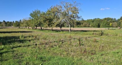 Bergerac Maison neuve - 2304615-11103annonce120251014Zf52f.jpeg Maisons France Confort