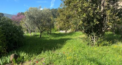 Ollioules Terrain à bâtir - 2264116-11136annonce120250908M56ck.jpeg Maisons France Confort