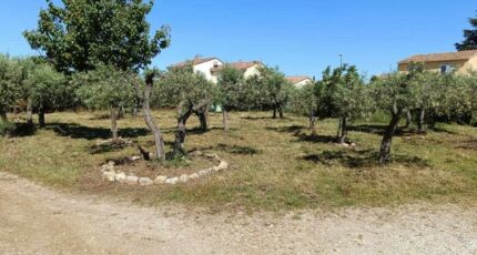 Aubignan Maison neuve - 2264767-695annonce320250908RT9UM.jpeg Maisons France Confort