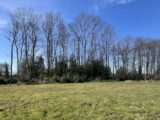 Maison à construire à La Frénaye (76170) 2304790-1887annonce120251014d5efw.jpeg Maisons France Confort