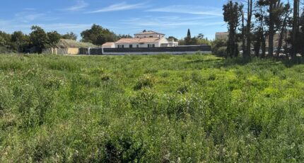 L'Isle-sur-la-Sorgue Maison neuve - 2305073-695annonce120251014SgA3K.jpeg Maisons France Confort