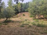 Terrain à bâtir à Taradeau (83460) 2305292-5163annonce120251014ZTc7g.jpeg Maisons France Confort