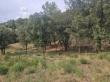 Terrain à bâtir à Taradeau (83460) 2305292-5163annonce220251014xe9FN.jpeg Maisons France Confort