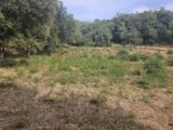 Terrain à bâtir à Taradeau (83460) 2305292-5163annonce32025101439eU0.jpeg Maisons France Confort