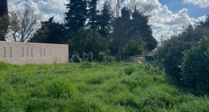 Maussane-les-Alpilles Maison neuve - 2305329-11073annonce120250910T8q6F.jpeg Maisons France Confort