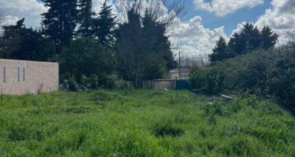 Maussane-les-Alpilles Maison neuve - 2305329-11073annonce3202509104z2ZD.jpeg Maisons France Confort