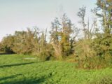 Terrain à bâtir à Fargues (33210) 2304883-11273annonce120251014QgRwo.jpeg Maisons France Confort