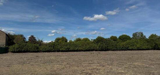 Terrain à bâtir à Villeveyrac, Occitanie