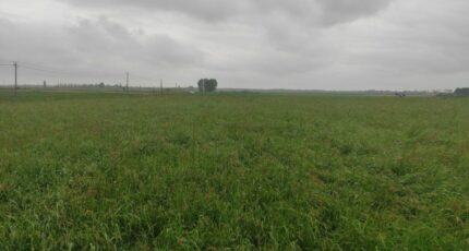 Fourmetot Terrain à bâtir - 2305525-4101annonce120251015ZgA0L.jpeg Maisons France Confort