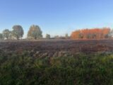 Terrain à bâtir à Créon (33670) 2305824-3601annonce120251015twqXn.jpeg Maisons France Confort