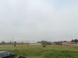 Maison à construire à Pins-Justaret (31860) 2305163-10326annonce120251014pGP8S.jpeg Maisons France Confort