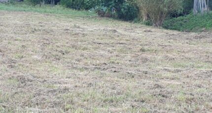 Saint-Romain-la-Virvée Terrain à bâtir - 2306559-11015annonce120251015F0vU2.jpeg Maisons France Confort
