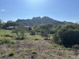 Terrain à bâtir à Roquebrune-sur-Argens (83520) 2306609-4529annonce120251015Kg7he.jpeg Maisons France Confort