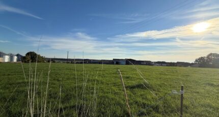 Kirschnaumen Maison neuve - 2305512-5140annonce420251015bNWWi.jpeg Maisons France Confort