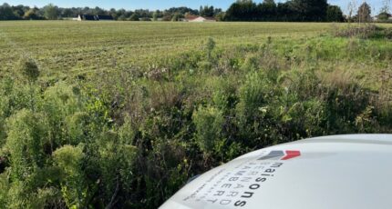 Cholet Maison neuve - 2307211-11353annonce120251016NkvLl.jpeg Maisons France Confort