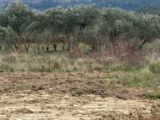 Terrain à bâtir à Gréasque (13850) 2270317-7054annonce120250913XmCrw.jpeg Maisons France Confort
