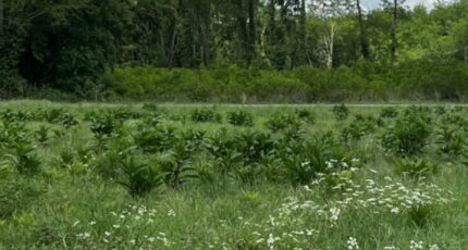 Landiras Maison neuve - 2267348-10776annonce1202509118npVg.jpeg Maisons France Confort