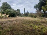Terrain à bâtir à Sillans-la-Cascade (83690) 2307429-11137annonce220251016m7mS5.jpeg Maisons France Confort