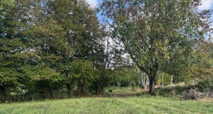 Ennevelin Maison neuve - 2306781-11632annonce120251015RO2S1.jpeg Maisons France Confort