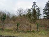 Maison à construire à Maule (78580) 2307883-10686annonce120251016Tzd5d.jpeg Maisons France Confort
