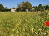 Maison à construire à Cestas (33610) 2308154-11255annonce1202510136N0dF.jpeg Maisons France Confort