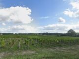 Terrain à bâtir à Fargues (33210) 2304993-11273annonce120251014ePNHr.jpeg Maisons France Confort