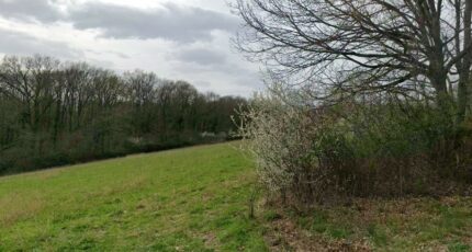 Le Fousseret Terrain à bâtir - 2271823-6043annonce420250915XtGaw.jpeg Maisons France Confort